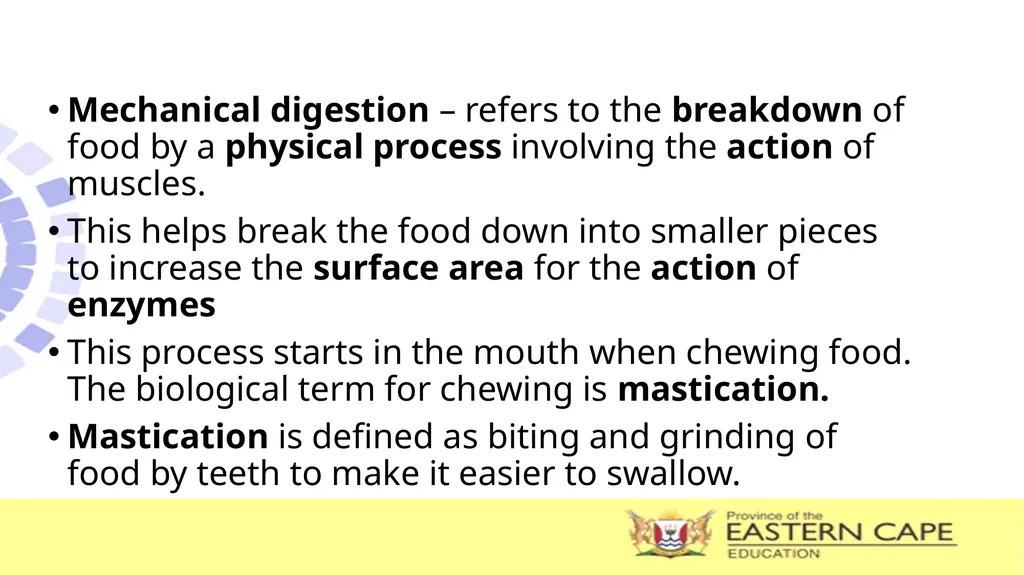 ANIMAL NUTRITION (Mammals) TOPIC: PROCESS OF - slide 6 of 28