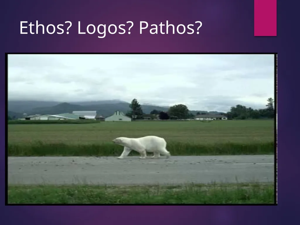 Intro to Rhetorical Analysis The Rhetorical - slide 9 of 19