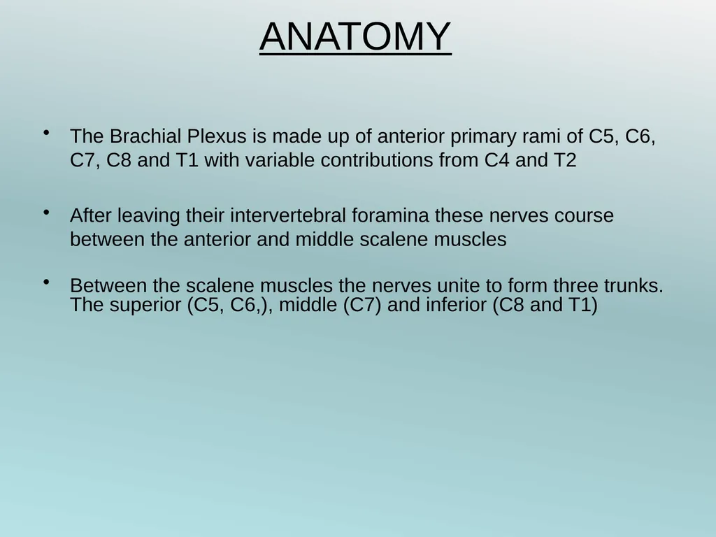 Surgery Under Regional Anesthesia Jean Daniel - slide 6 of 76