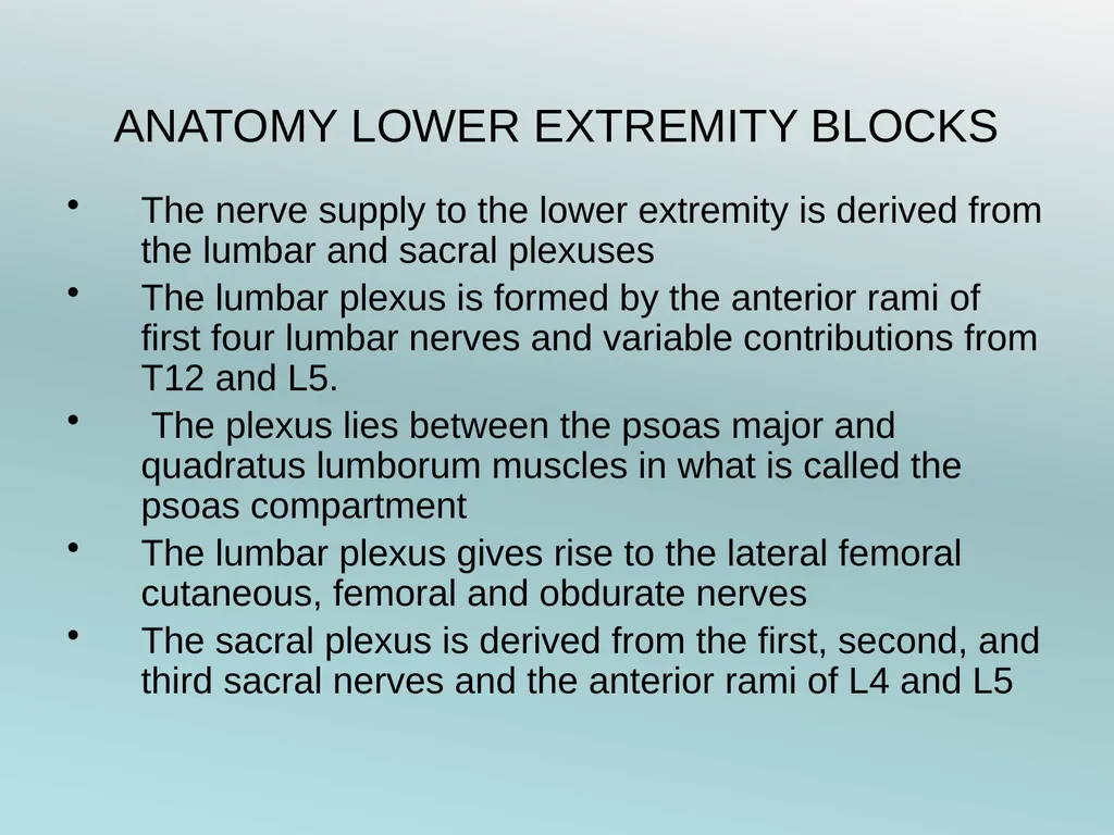 Surgery Under Regional Anesthesia Jean Daniel - slide 31 of 76
