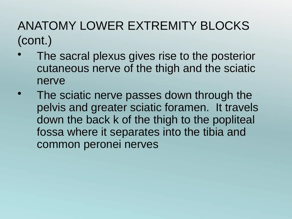 Surgery Under Regional Anesthesia Jean Daniel - slide 32 of 76