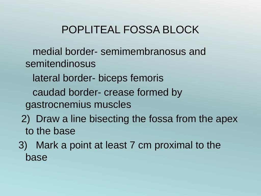 Surgery Under Regional Anesthesia Jean Daniel - slide 54 of 76