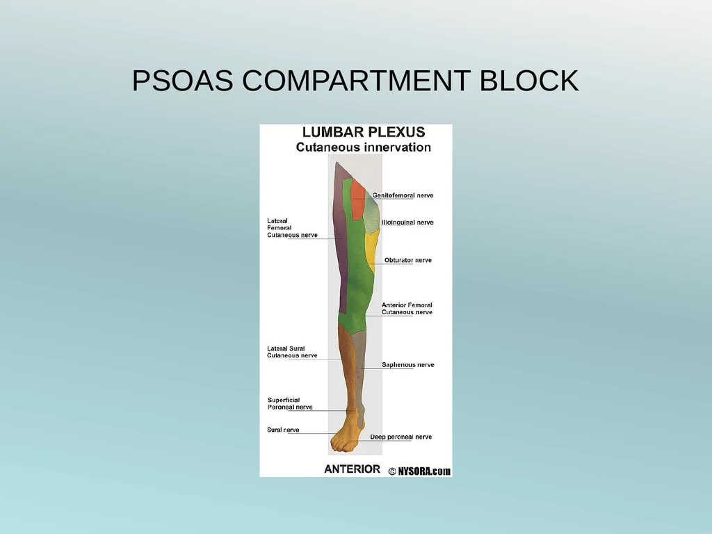 Surgery Under Regional Anesthesia Jean Daniel - slide 35 of 76