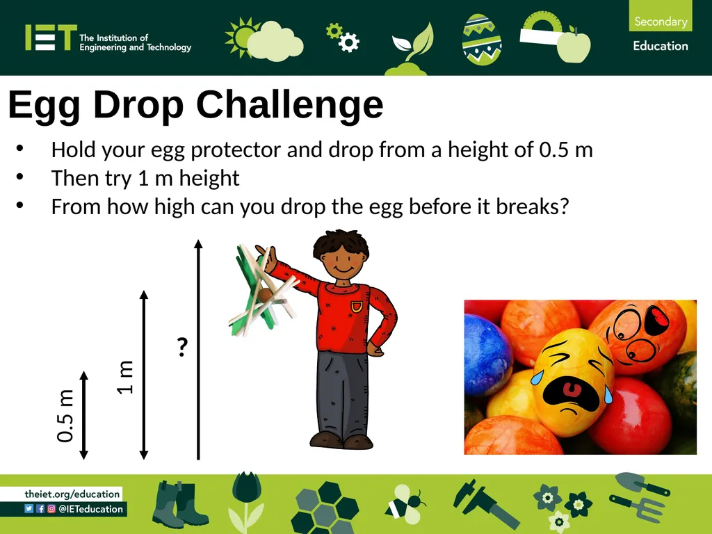 Egg Drop Challenge A challenge to protect an egg - slide 9 of 10