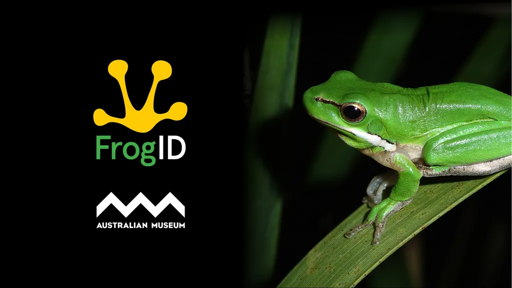 Frog Habitat Student Presentation TEACHER - slide 1 of 8