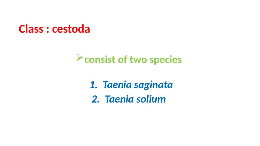 Practical parasitology Platyhelminthes (flat - slide 20 of 31