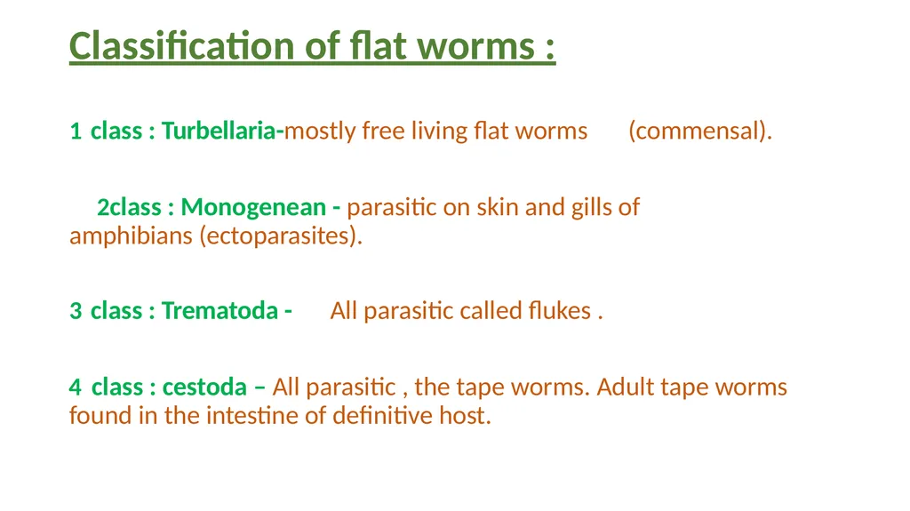 Practical parasitology Platyhelminthes (flat - slide 4 of 31