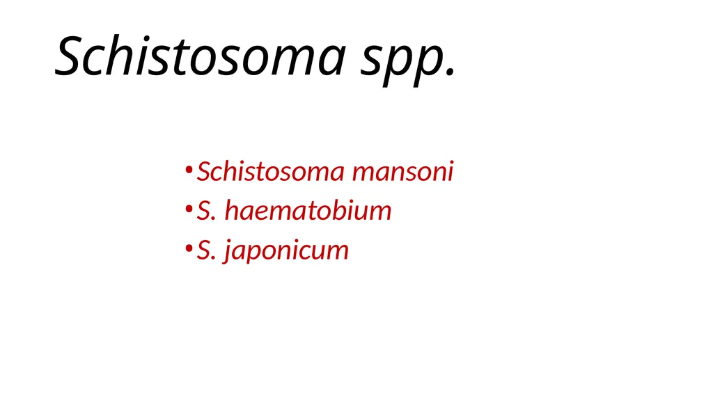 Practical parasitology Platyhelminthes (flat - slide 7 of 31