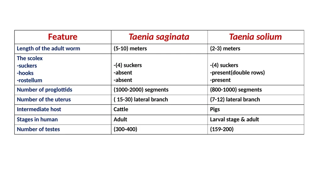 Practical parasitology Platyhelminthes (flat - slide 28 of 31