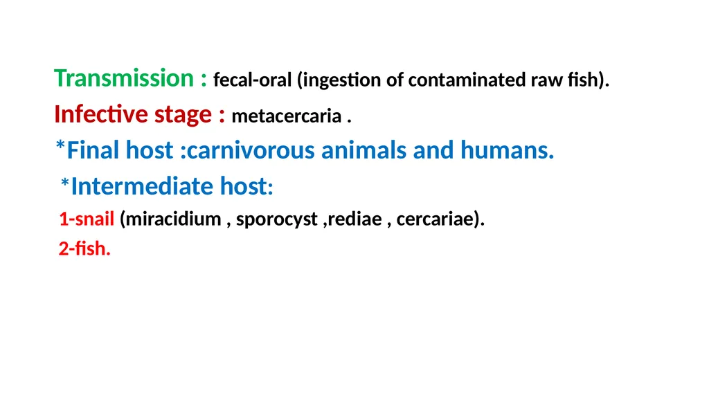 Practical parasitology Platyhelminthes (flat - slide 19 of 31