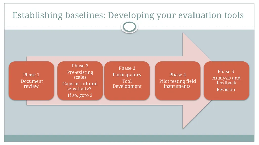 DR Angela Veale, School of Applied Psychology, - slide 5 of 33