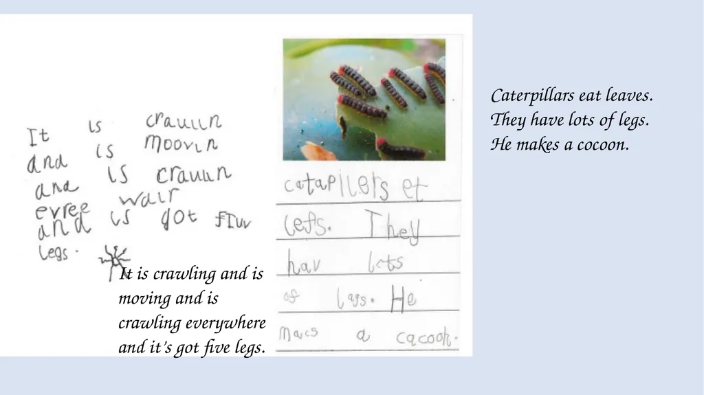 Phonics workshop Reception Monday 6th November - slide 32 of 34