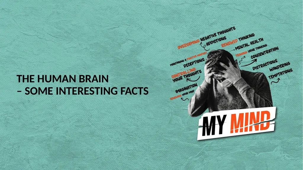 THE HUMAN BRAIN – SOME INTERESTING FACTS The Human - slide 2 of 29