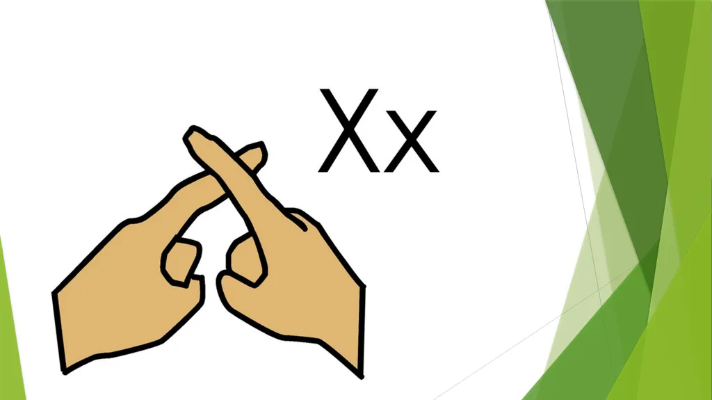 Working towards our skills badge Sign Language - slide 30 of 39
