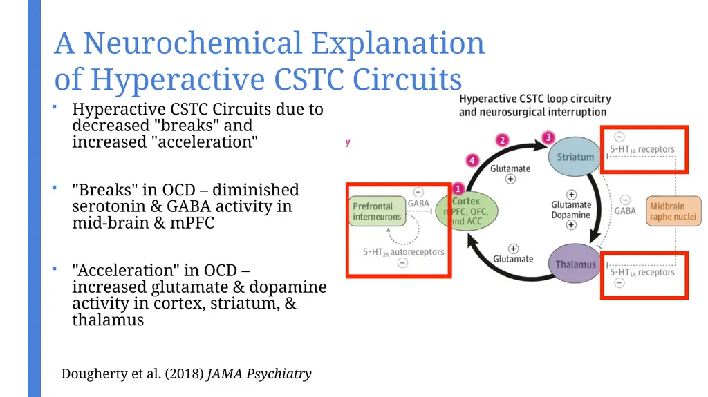 An Introduction to Transcranial Magnetic - slide 22 of 48