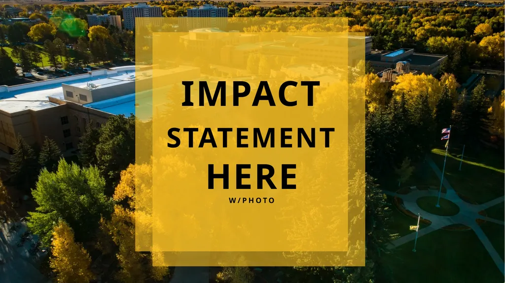 INSERT TITLE HERE IMPACT STATEMENT HERE W/PHOTO - slide 2 of 11