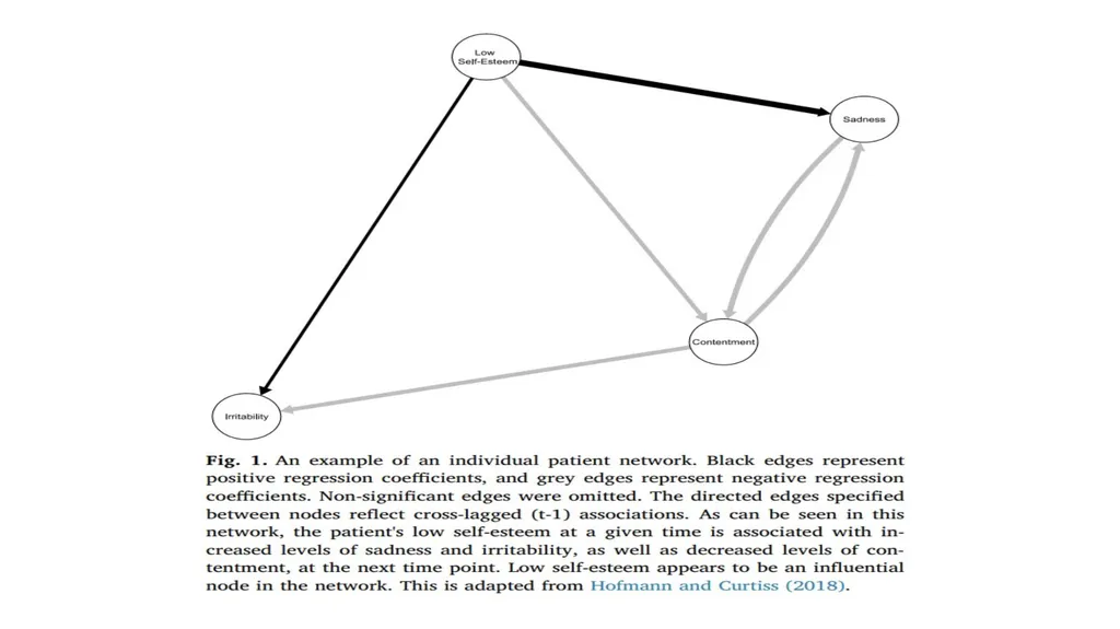 New data & new questions: Examining the FIAT-Q-SF - slide 21 of 23