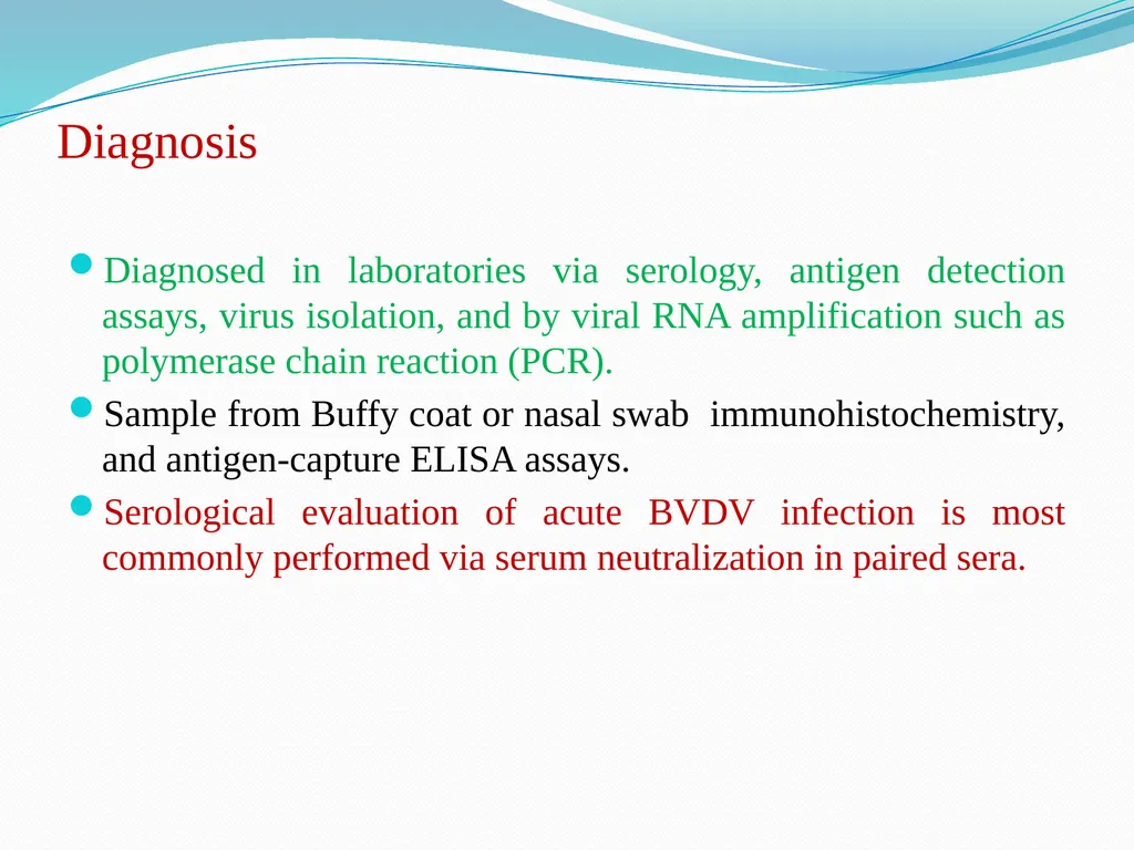 BVD/Mucosal Disease Dr. Bipin Kumar Assistant - slide 11 of 14