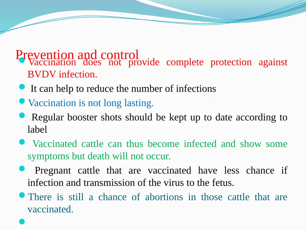 BVD/Mucosal Disease Dr. Bipin Kumar Assistant - slide 13 of 14