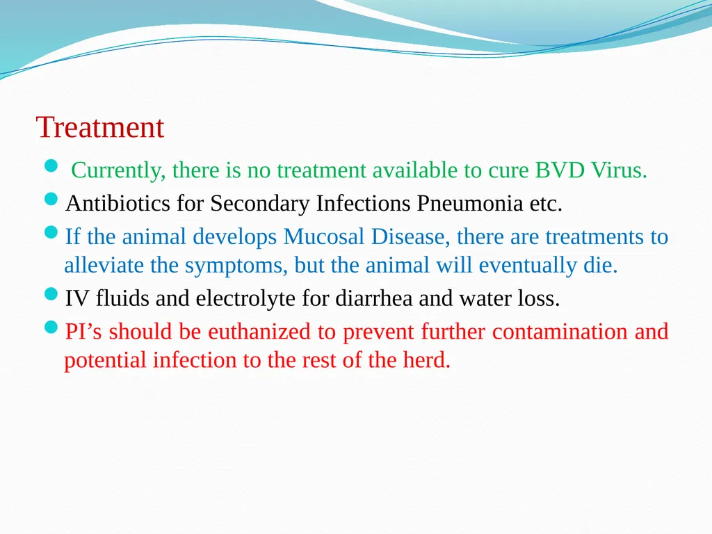 BVD/Mucosal Disease Dr. Bipin Kumar Assistant - slide 12 of 14