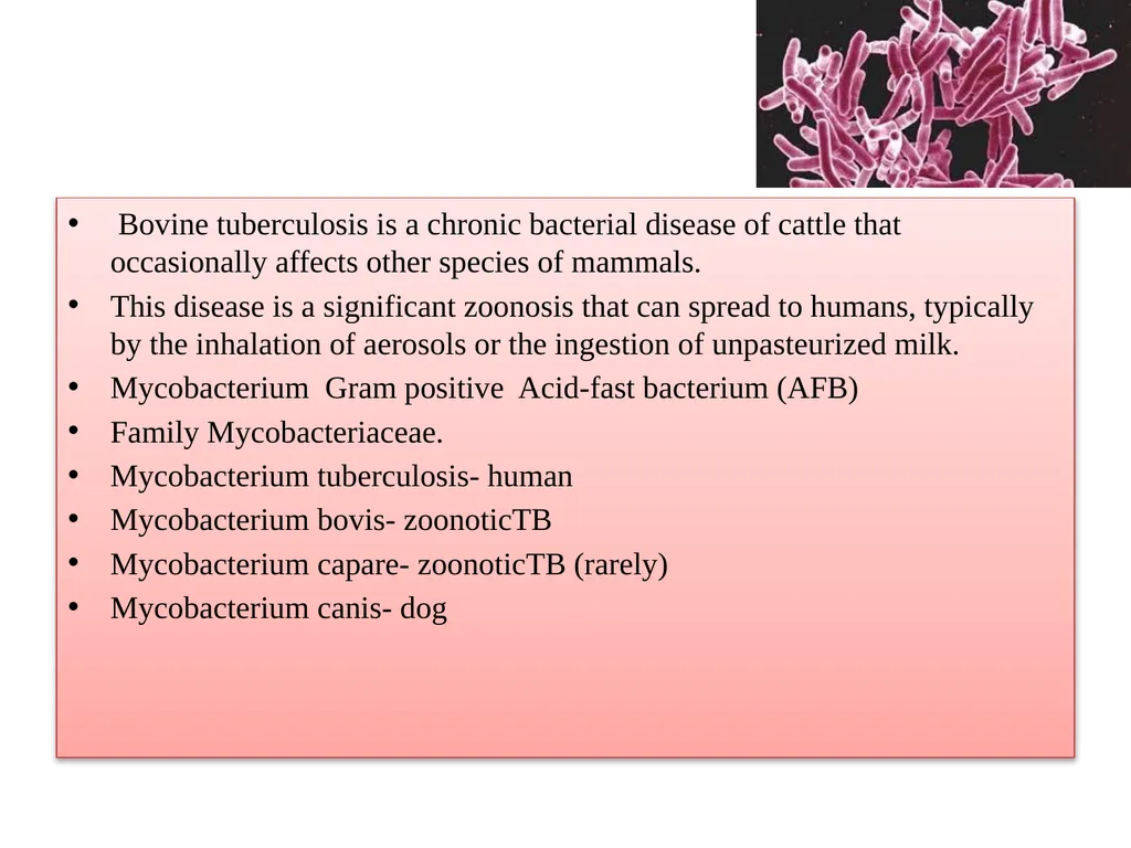 Tuberculosis Dr. Bipin Kumar Assistant Professor - slide 3 of 22