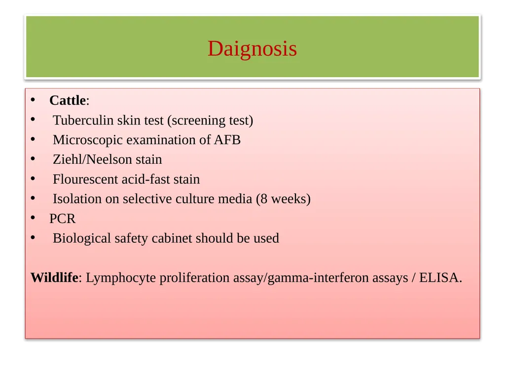 Tuberculosis Dr. Bipin Kumar Assistant Professor - slide 15 of 22