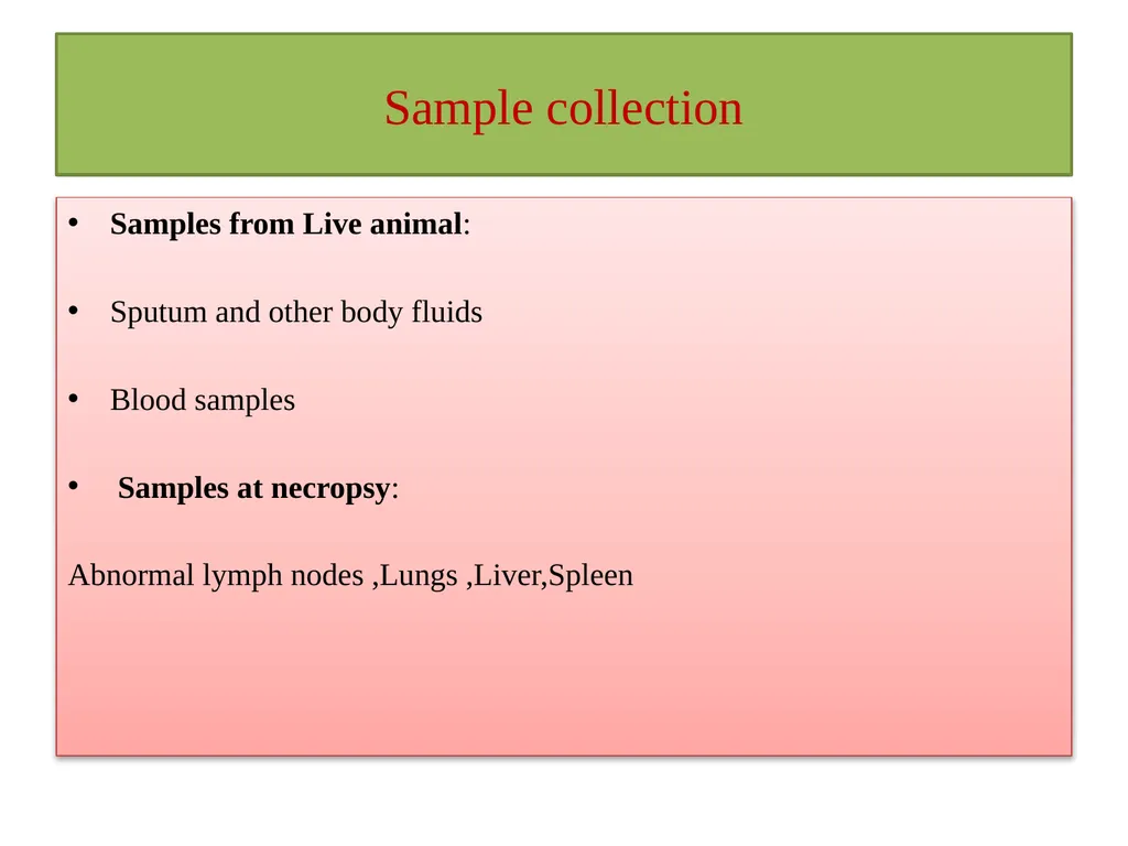 Tuberculosis Dr. Bipin Kumar Assistant Professor - slide 16 of 22