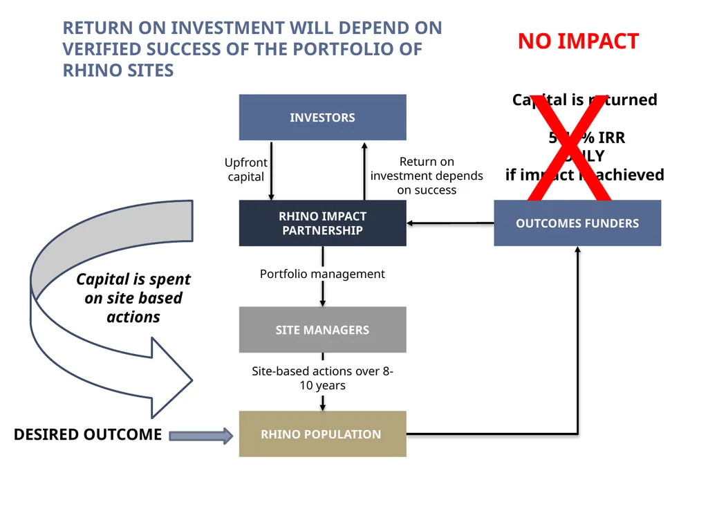 rhino impact Bond changing the conservation - slide 8 of 14