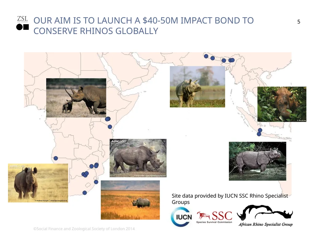 rhino impact Bond changing the conservation - slide 5 of 14