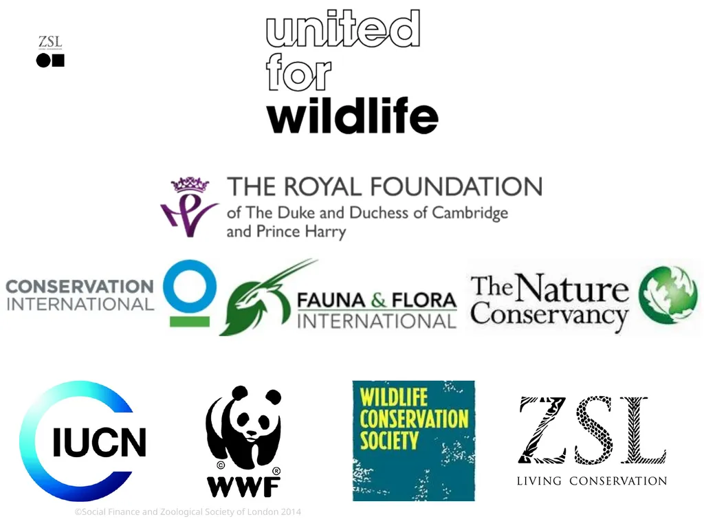rhino impact Bond changing the conservation - slide 12 of 14
