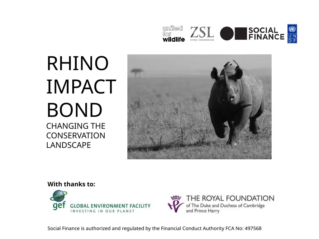 rhino impact Bond changing the conservation - slide 1 of 14