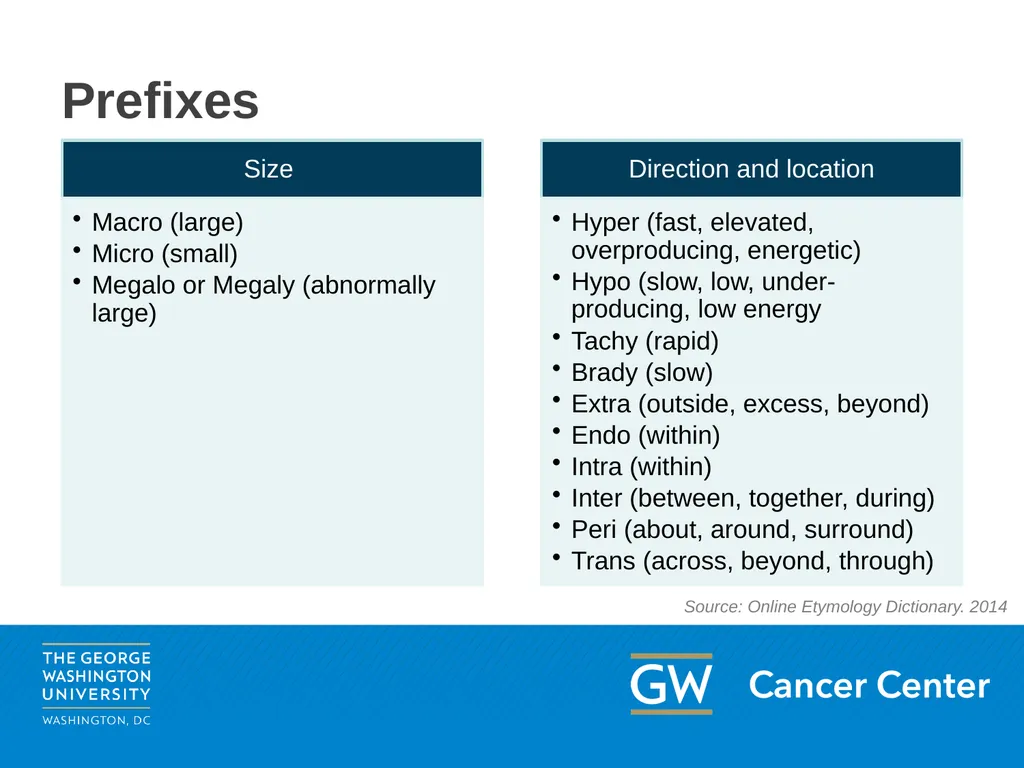Lesson 1: Medical Terminology Module 3: The Basics - slide 8 of 20