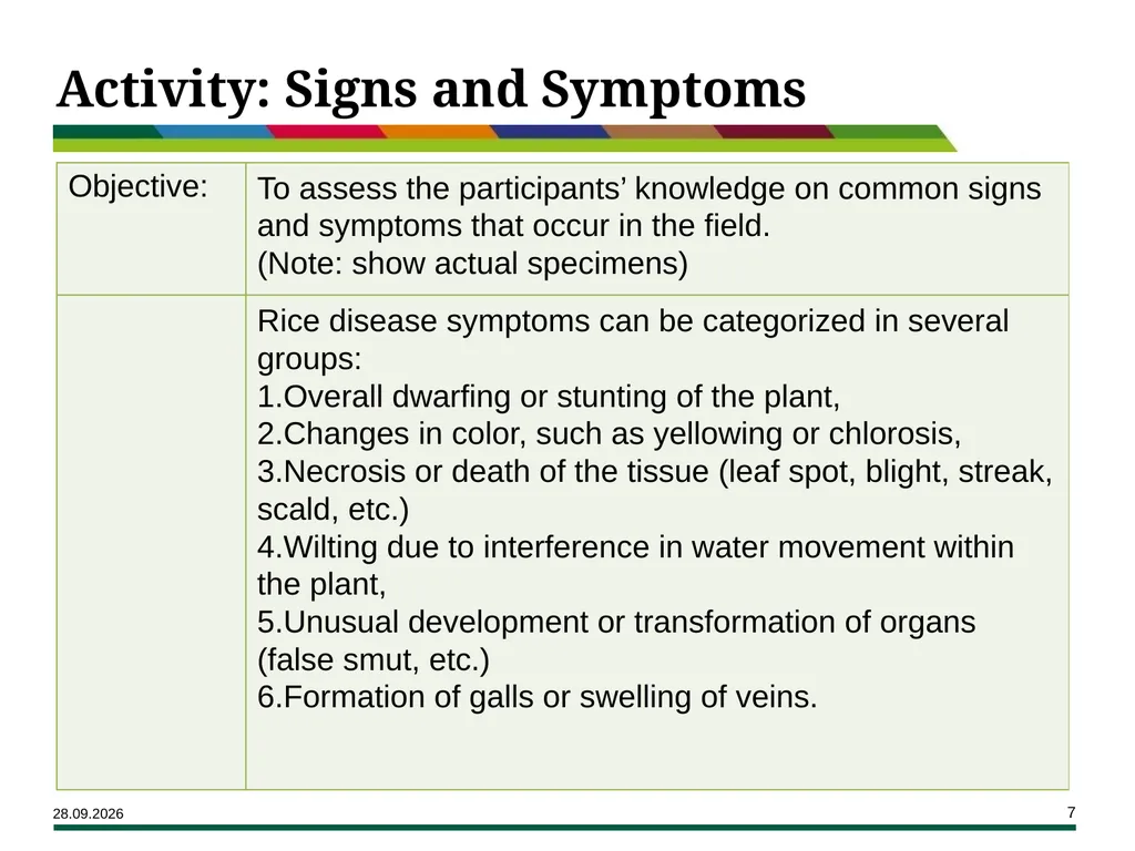 Major Rice Diseases and their Management Learning - slide 7 of 33