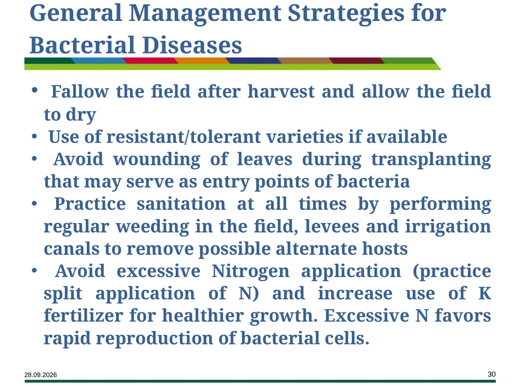 Major Rice Diseases and their Management Learning - slide 30 of 33
