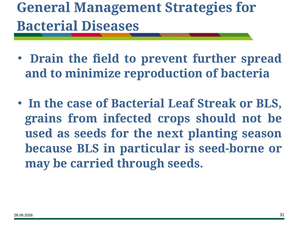 Major Rice Diseases and their Management Learning - slide 31 of 33