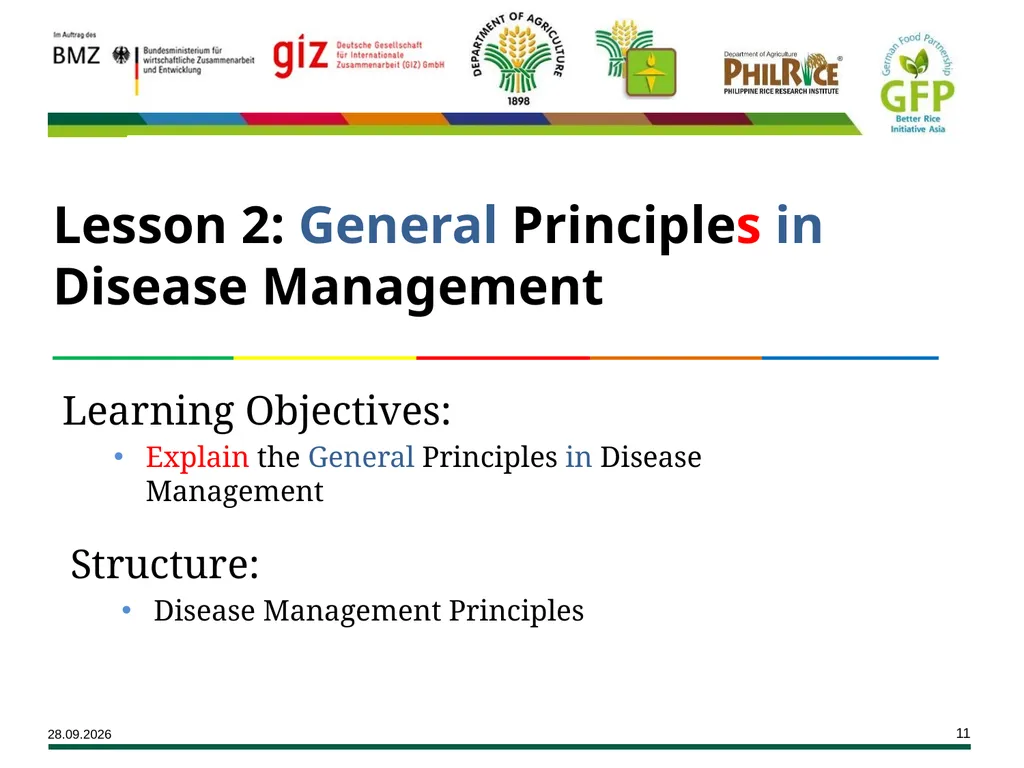 Major Rice Diseases and their Management Learning - slide 11 of 33