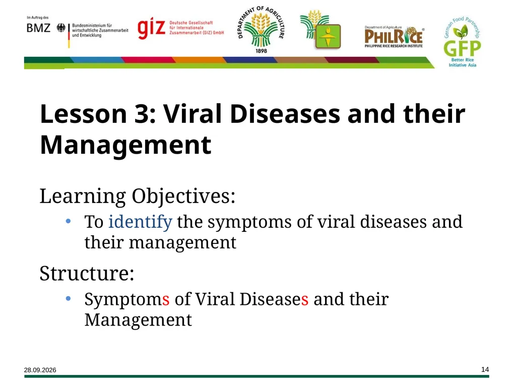 Major Rice Diseases and their Management Learning - slide 14 of 33