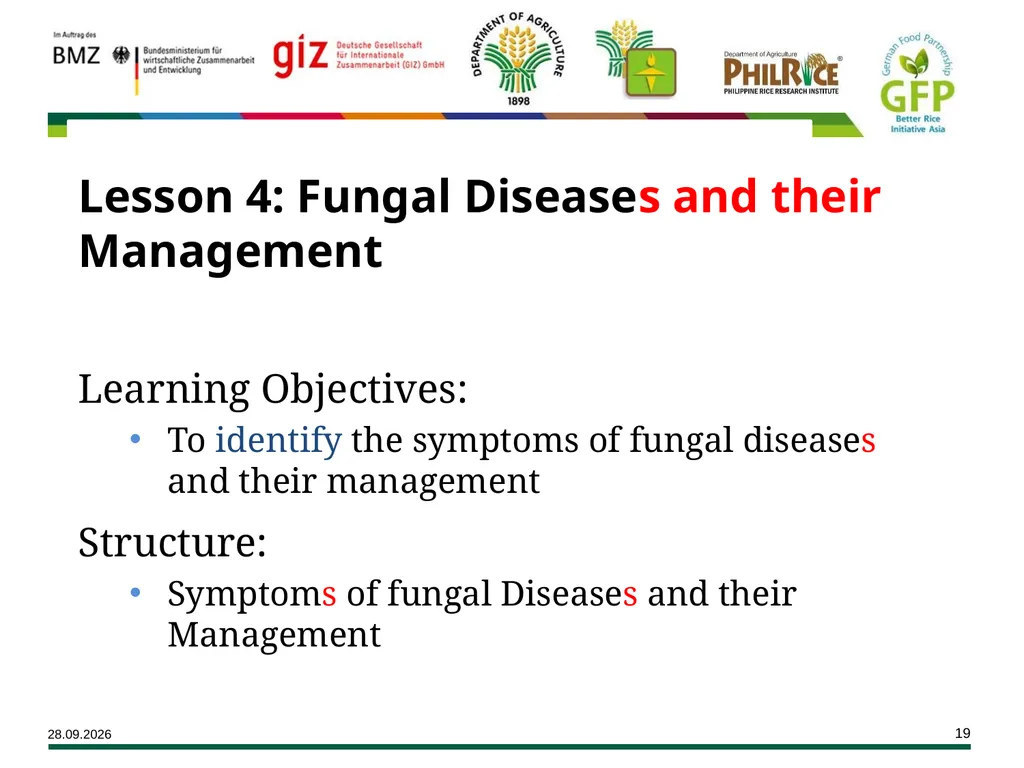 Major Rice Diseases and their Management Learning - slide 19 of 33