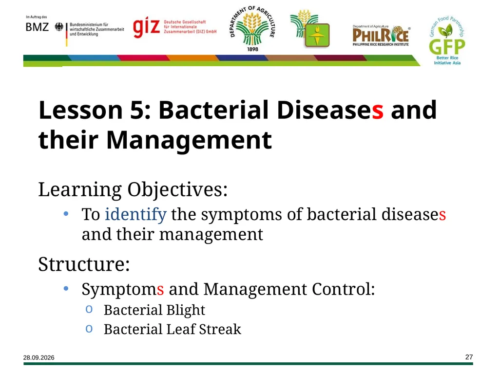 Major Rice Diseases and their Management Learning - slide 27 of 33