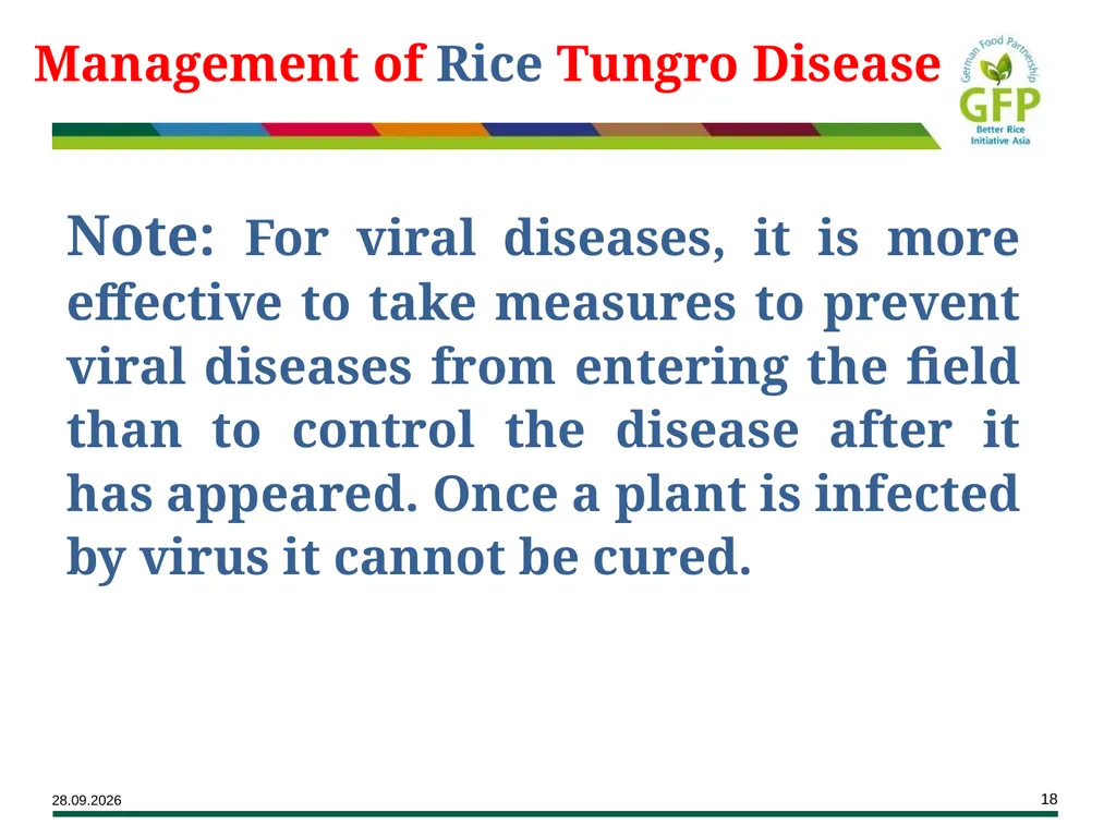Major Rice Diseases and their Management Learning - slide 18 of 33