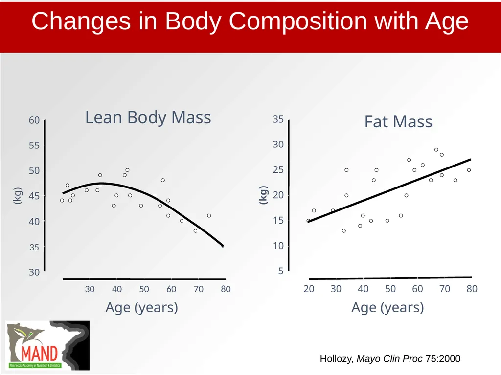 Protein Recommendations for Healthy Aging: - slide 7 of 39