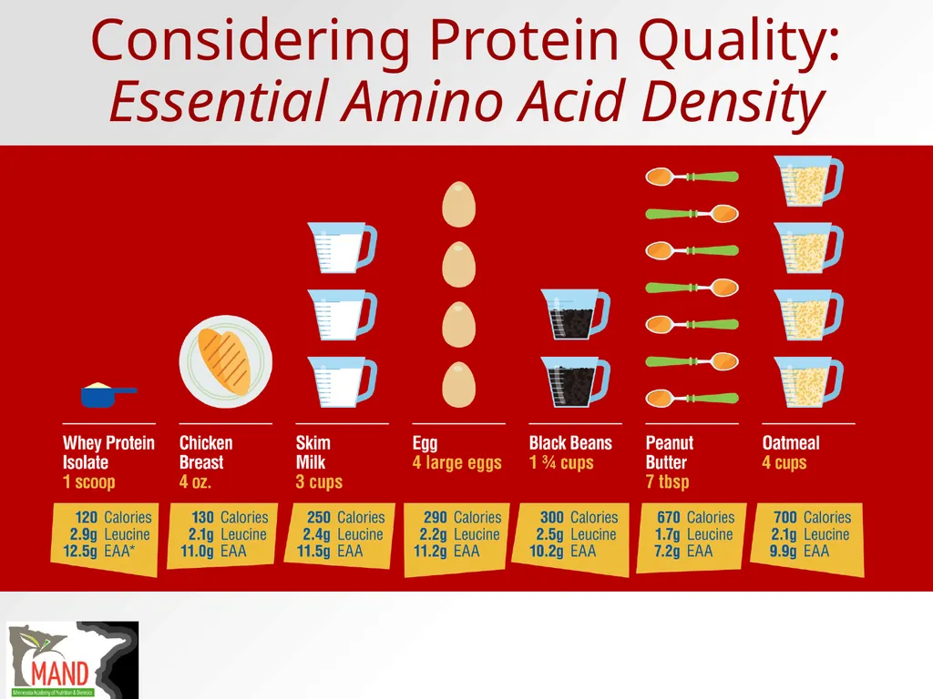 Protein Recommendations for Healthy Aging: - slide 32 of 39