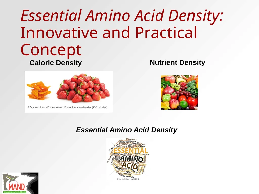 Protein Recommendations for Healthy Aging: - slide 28 of 39