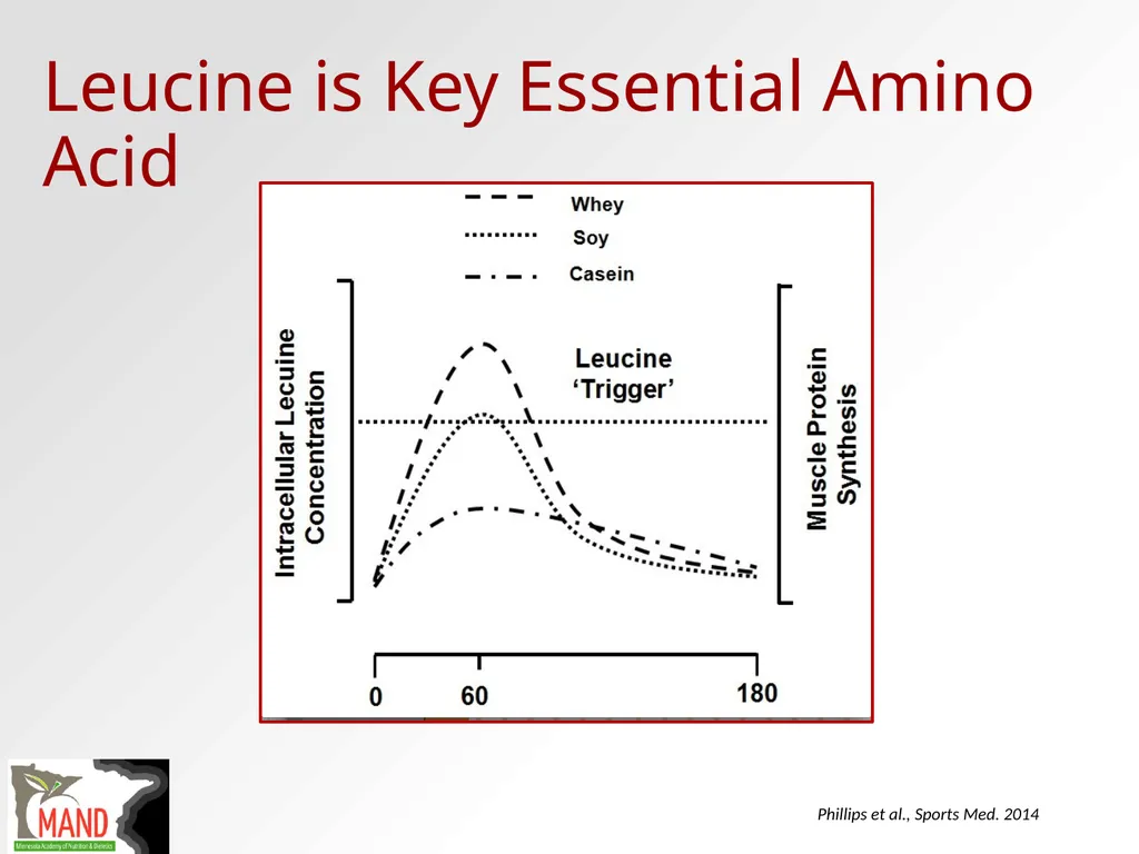 Protein Recommendations for Healthy Aging: - slide 26 of 39