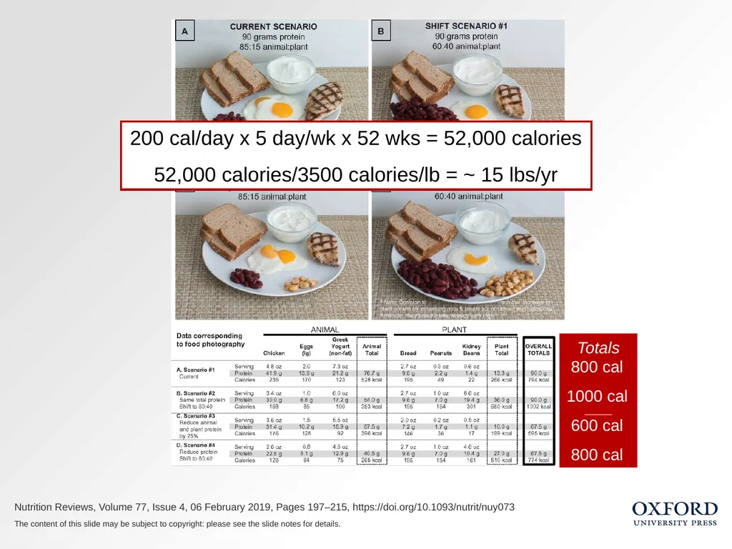 Protein Recommendations for Healthy Aging: - slide 33 of 39