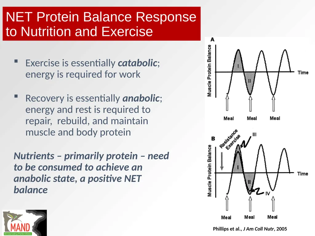 Protein Recommendations for Healthy Aging: - slide 23 of 39