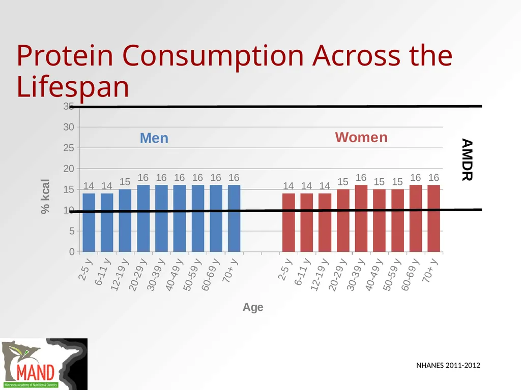 Protein Recommendations for Healthy Aging: - slide 13 of 39