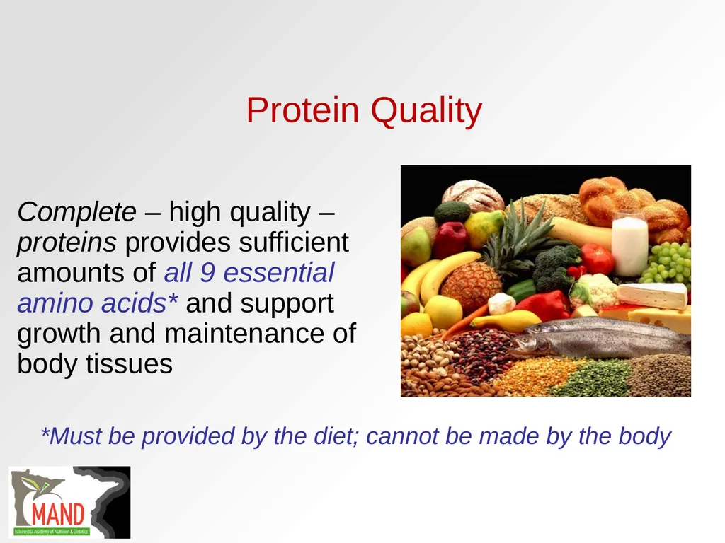 Protein Recommendations for Healthy Aging: - slide 17 of 39