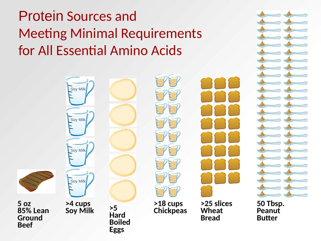 Protein Recommendations for Healthy Aging: - slide 31 of 39