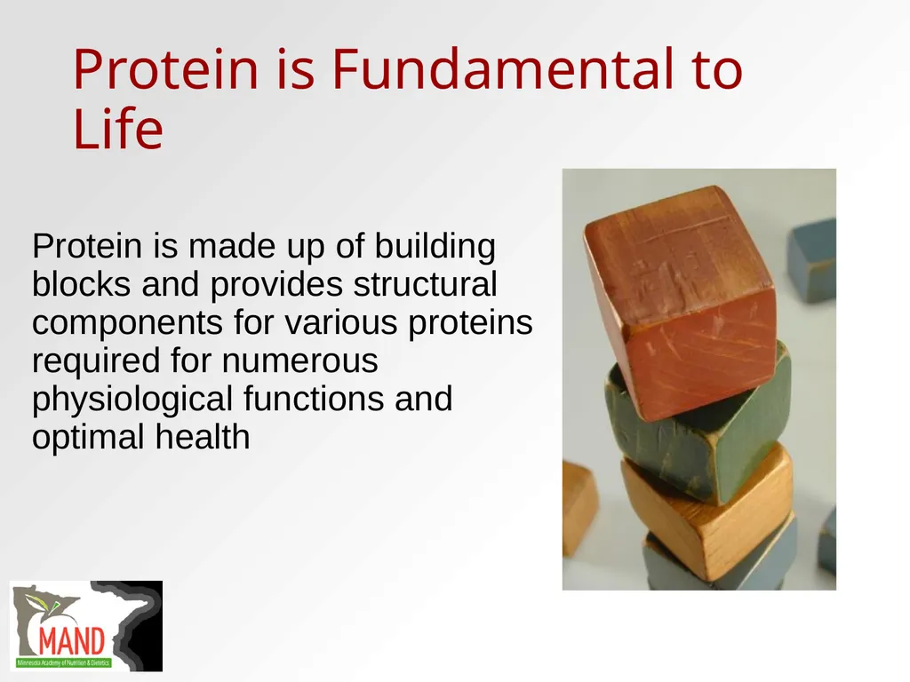 Protein Recommendations for Healthy Aging: - slide 4 of 39